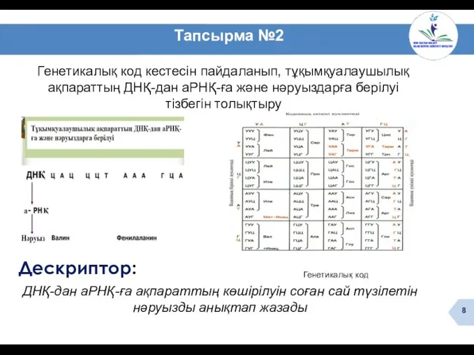 ДНҚ-дан аРНҚ-ға ақпараттың көшірілуін соған сай түзілетін нәруызды анықтап жазады Дескриптор: Тапсырма