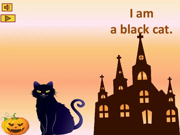 I am a black cat.