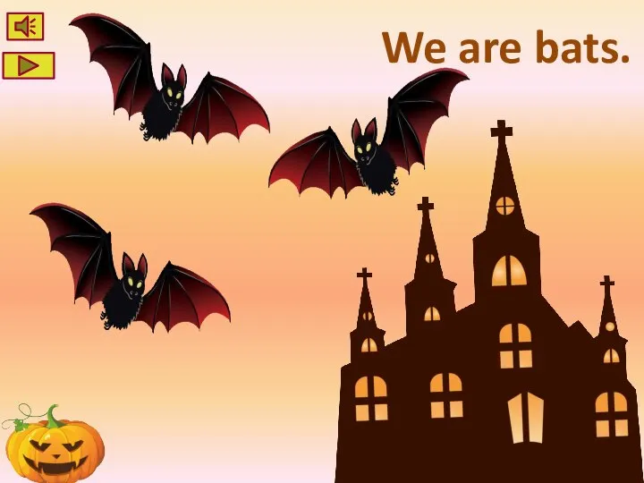 We are bats.