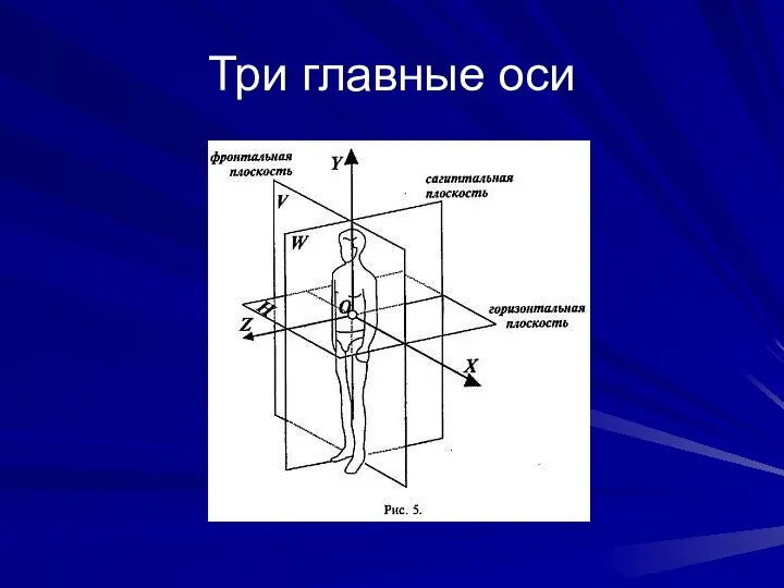 Три главные оси