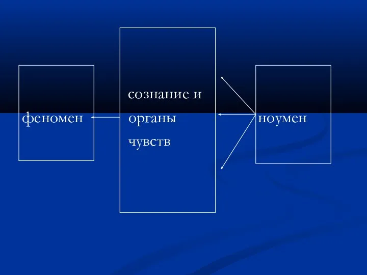 сознание и феномен органы ноумен чувств