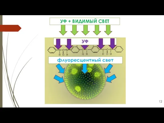 УФ + ВИДИМЫЙ СВЕТ УФ флуоресцентный свет 12