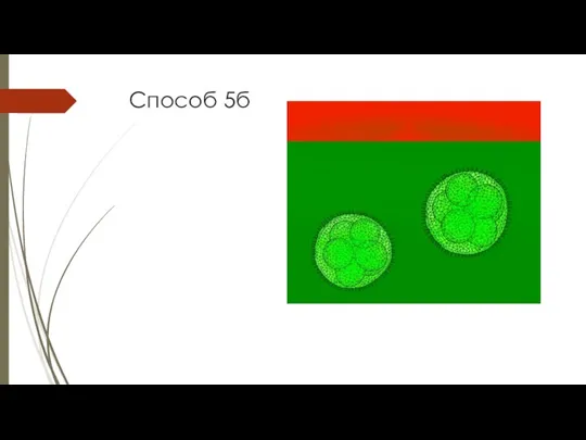 Способ 5б