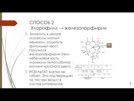 СПОСОБ 2 Хлорофилл → железопорфирин Заменить в центре молекулы магний железом, отщепить