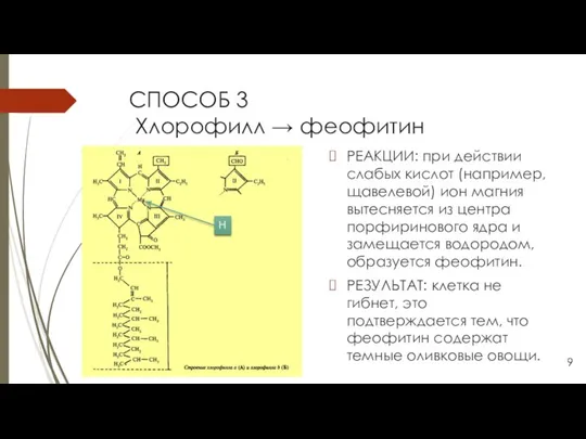 СПОСОБ 3 Хлорофилл → феофитин РЕАКЦИИ: при действии слабых кислот (например, щавелевой)