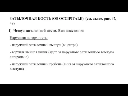 ЗАТЫЛОЧНАЯ КОСТЬ (OS OCCIPITALE) (см. атлас, рис. 47, 48) Чешуя затылочной кости.