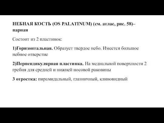 НЕБНАЯ КОСТЬ (OS PALATINUM) (см. атлас, рис. 58)– парная Состоит из 2