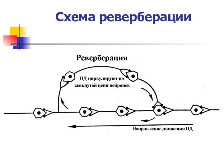 Схема реверберации