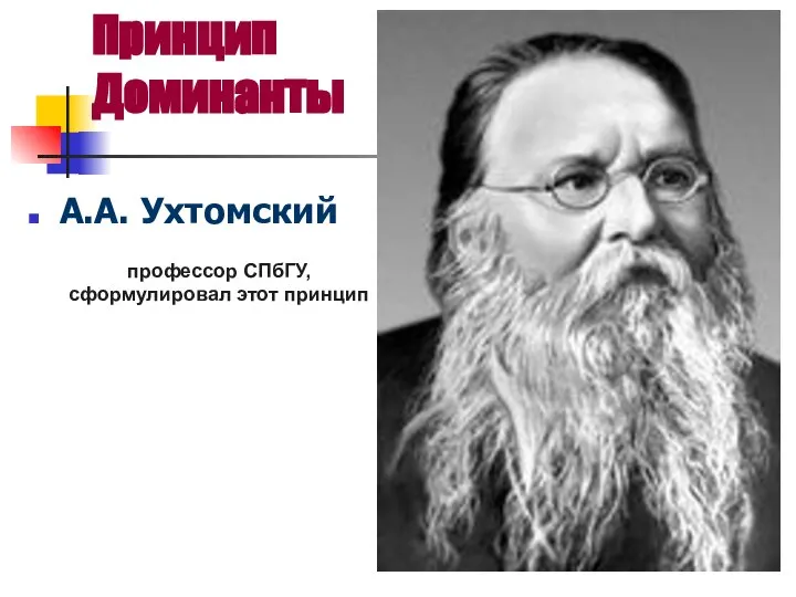 Принцип Доминанты А.А. Ухтомский профессор СПбГУ, сформулировал этот принцип