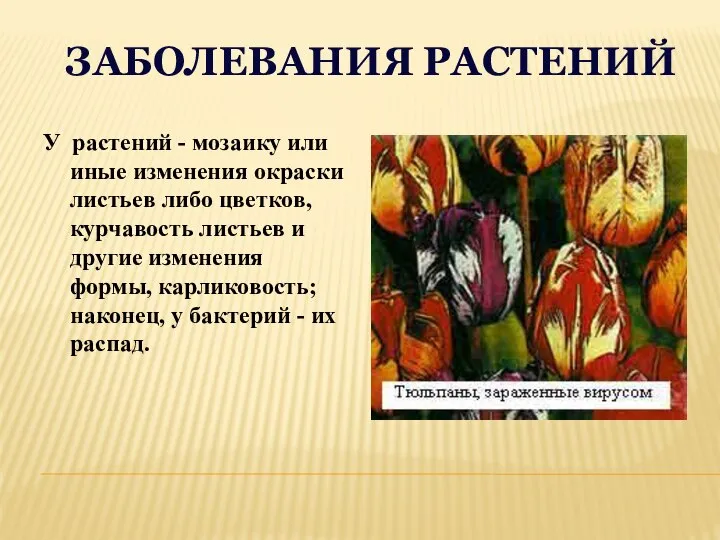 ЗАБОЛЕВАНИЯ РАСТЕНИЙ У растений - мозаику или иные изменения окраски листьев либо