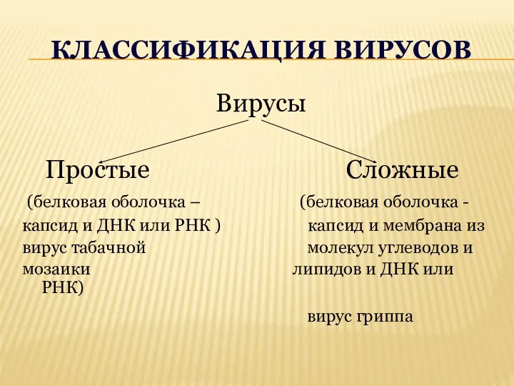 КЛАССИФИКАЦИЯ ВИРУСОВ Вирусы Простые Сложные (белковая оболочка – (белковая оболочка - капсид