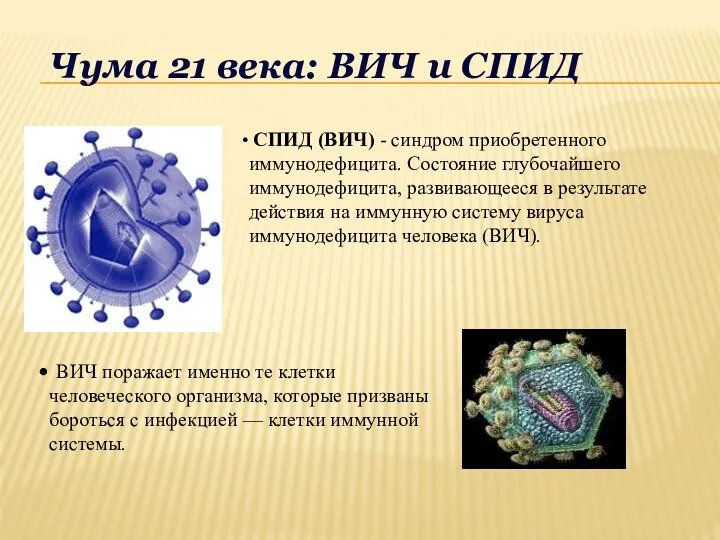 Чума 21 века: ВИЧ и СПИД СПИД (ВИЧ) - синдром приобретенного иммунодефицита.