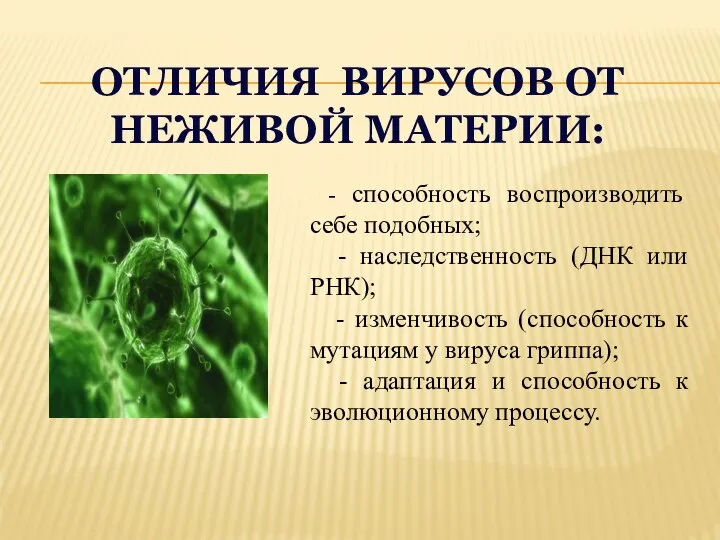 ОТЛИЧИЯ ВИРУСОВ ОТ НЕЖИВОЙ МАТЕРИИ: - способность воспроизводить себе подобных; - наследственность