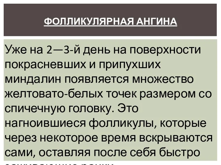 ФОЛЛИКУЛЯРНАЯ АНГИНА Уже на 2—3-й день на поверхности покрасневших и припухших миндалин