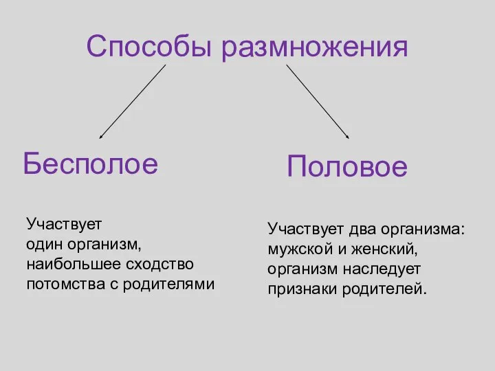 Способы размножения Бесполое Половое Участвует один организм, наибольшее сходство потомства с родителями