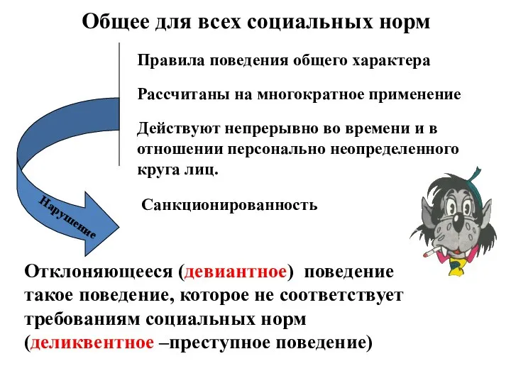 Общее для всех социальных норм Правила поведения общего характера Рассчитаны на многократное