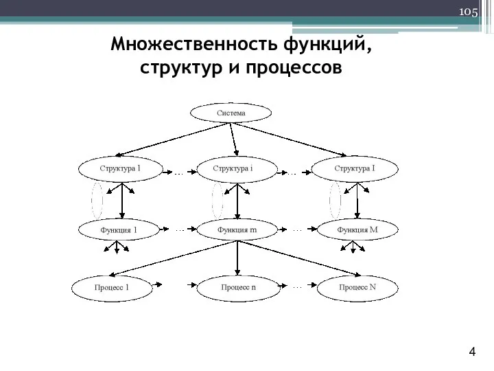 Множественность функций, структур и процессов 4