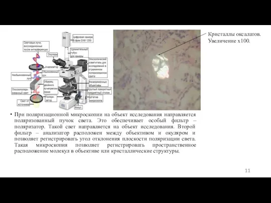 При поляризационной микроскопии на объект исследования направляется поляризованный пучок света. Это обеспечивает