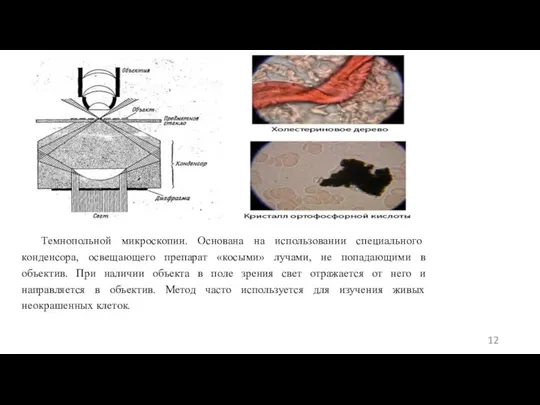 Темнопольной микроскопии. Основана на использовании специального конденсора, освещающего препарат «косыми» лучами, не