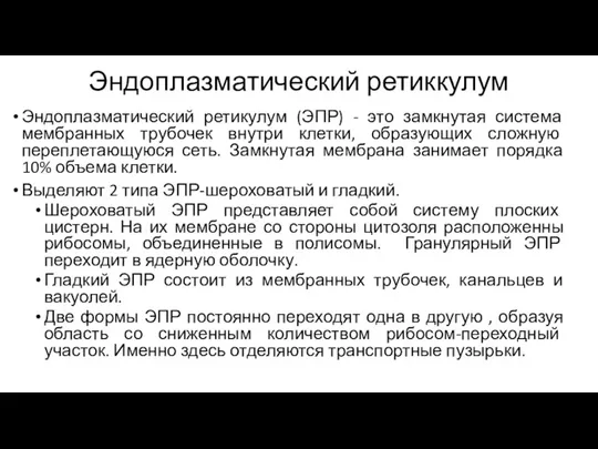 Эндоплазматический ретиккулум Эндоплазматический ретикулум (ЭПР) - это замкнутая система мембранных трубочек внутри