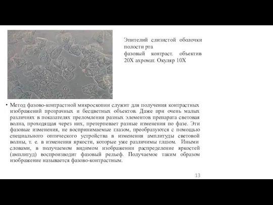 Метод фазово-контрастной микроскопии служит для получения контрастных изображений прозрачных и бесцветных объектов.