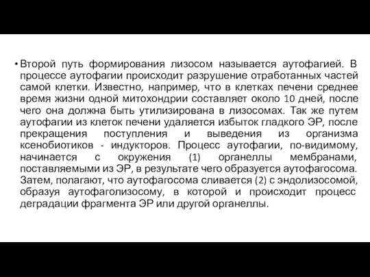 Второй путь формирования лизосом называется аутофагией. В процессе аутофагии происходит разрушение отработанных