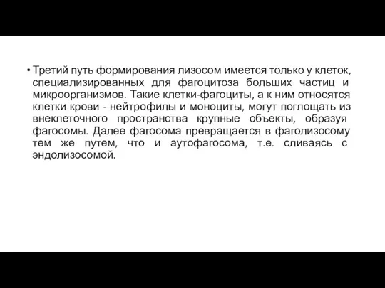 Третий путь формирования лизосом имеется только у клеток, специализированных для фагоцитоза больших