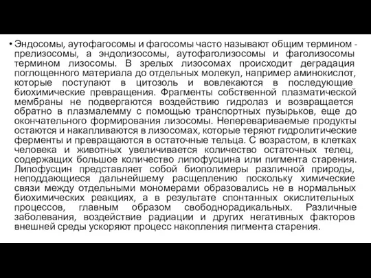 Эндосомы, аутофагосомы и фагосомы часто называют общим термином - прелизосомы, а эндолизосомы,