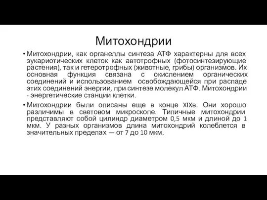 Митохондрии Митохондрии, как органеллы синтеза АТФ характерны для всех эукариотических клеток как