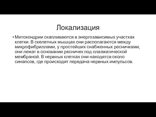 Локализация Митохондрии скапливаются в энергозависимых участках клетки. В скелетных мышцах они располагаются