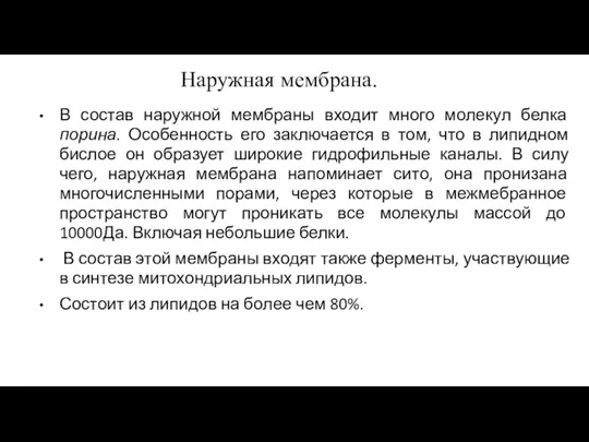 Наружная мембрана. В состав наружной мембраны входит много молекул белка порина. Особенность