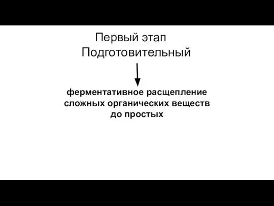 Первый этап Подготовительный ферментативное расщепление сложных органических веществ до простых