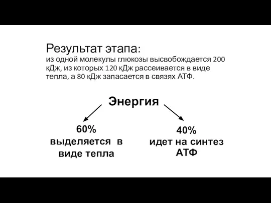 60% выделяется в виде тепла 40% идет на синтез АТФ Энергия Результат