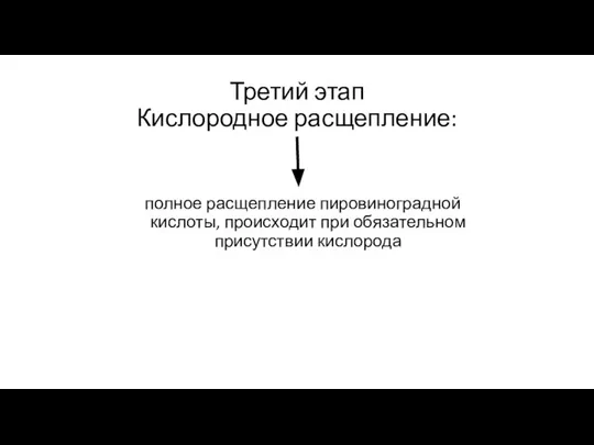 Третий этап Кислородное расщепление: полное расщепление пировиноградной кислоты, происходит при обязательном присутствии кислорода