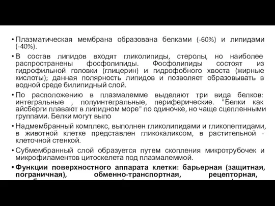 Плазматическая мембрана образована белками (-60%) и липидами (-40%). В состав липидов входят