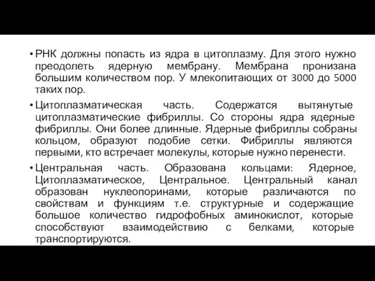 РНК должны попасть из ядра в цитоплазму. Для этого нужно преодолеть ядерную