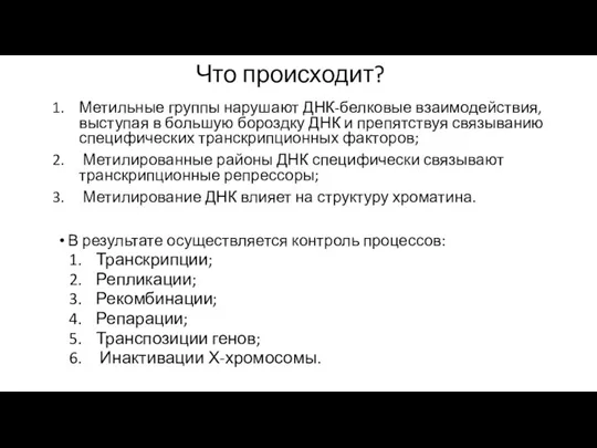 Что происходит? Метильные группы нарушают ДНК-белковые взаимодействия, выступая в большую бороздку ДНК