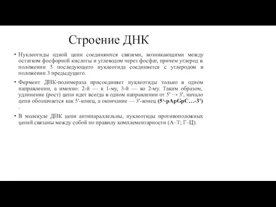 Строение ДНК Нуклеотиды одной цепи соединяются связями, возникающими между остатком фосфорной кислоты