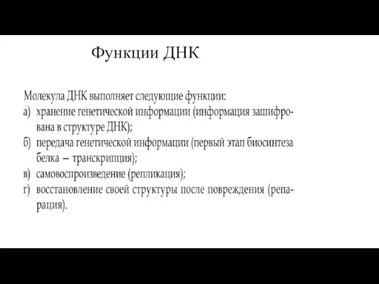 Функции ДНК