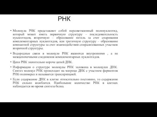 РНК Молекула РНК представляет собой неразветвленный полинуклеотид, который может иметь первичную структуру