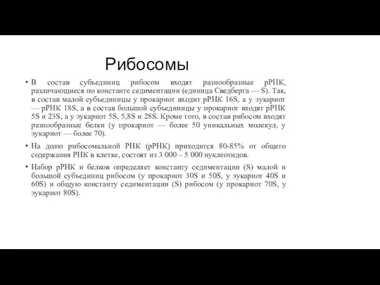 Рибосомы В состав субъединиц рибосом входят разнообразные рРНК, различающиеся по константе седиментации