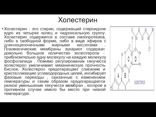 Холестерин Холестерин - это стерин, содержащий стероидное ядро из четырех колец и