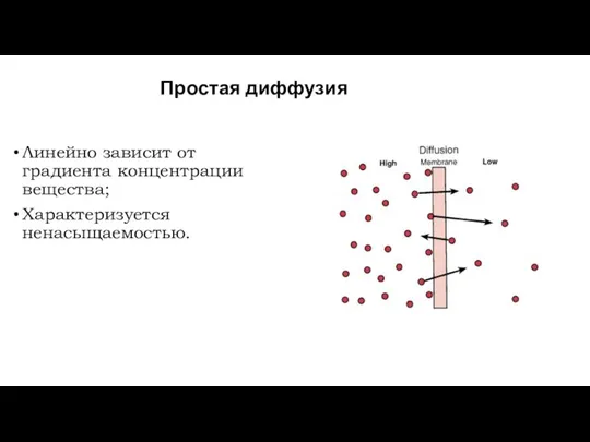 Простая диффузия Линейно зависит от градиента концентрации вещества; Характеризуется ненасыщаемостью.