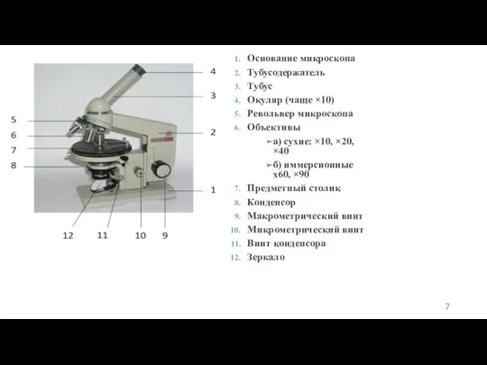 Основание микроскопа Тубусодержатель Тубус Окуляр (чаще ×10) Револьвер микроскопа Объективы а) сухие: