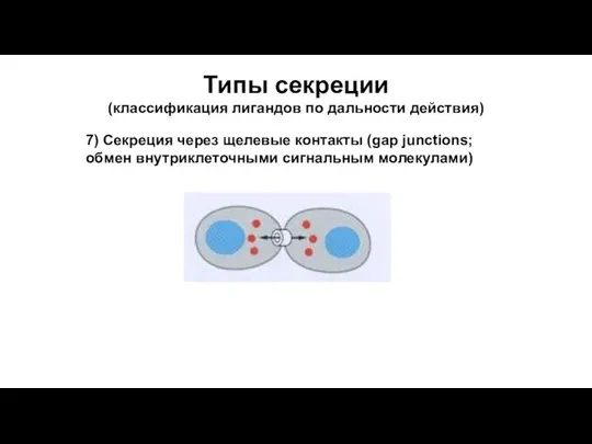 Типы секреции (классификация лигандов по дальности действия) 7) Секреция через щелевые контакты