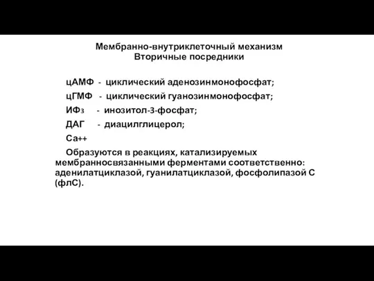 Мембранно-внутриклеточный механизм Вторичные посредники цАМФ - циклический аденозинмонофосфат; цГМФ - циклический гуанозинмонофосфат;