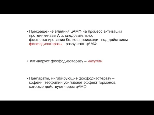 Прекращение влияния цАМФ на процесс активации протеинкиназы А и, следовательно, фосфорилирования белков