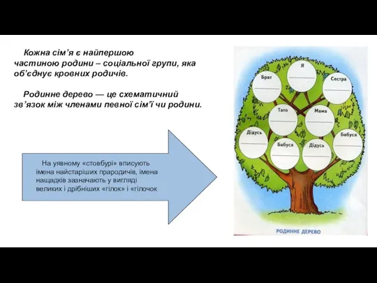 Кожна сім’я є найпершою частиною родини – соціальної групи, яка об’єднує кровних