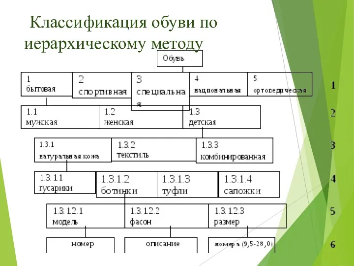 Классификация обуви по иерархическому методу