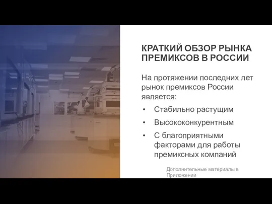 КРАТКИЙ ОБЗОР РЫНКА ПРЕМИКСОВ В РОССИИ На протяжении последних лет рынок премиксов